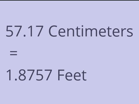 57.17 CM TO FEET