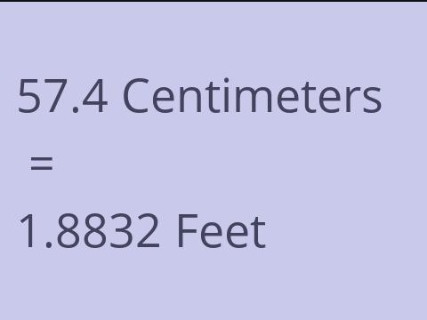 57.4 CM TO FEET