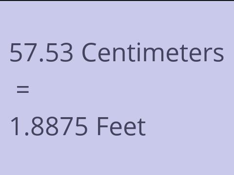 57.53 CM TO FEET