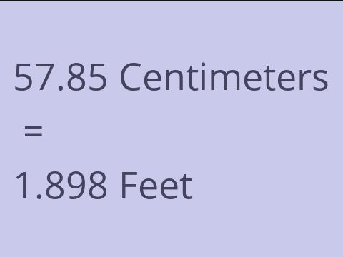 57.85 CM TO FEET