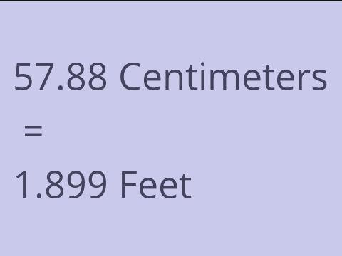 57.88 CM TO FEET