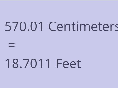 570.01 CM TO FEET