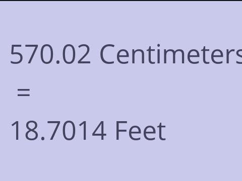 570.02 CM TO FEET