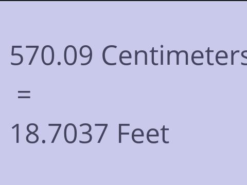 570.09 CM TO FEET