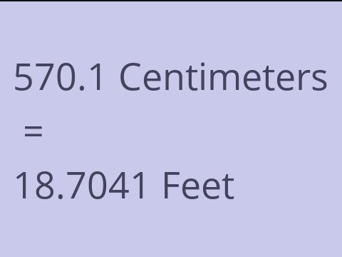 570.1 CM TO FEET