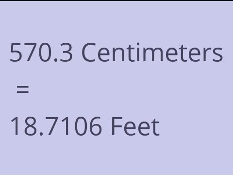 570.3 CM TO FEET