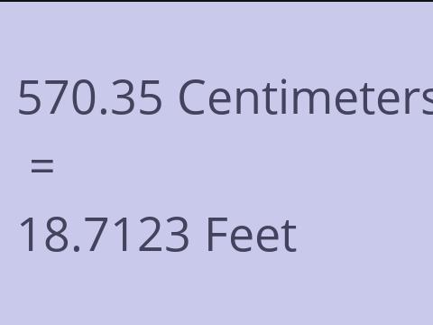 570.35 CM TO FEET