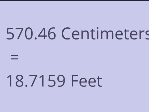 570.46 CM TO FEET