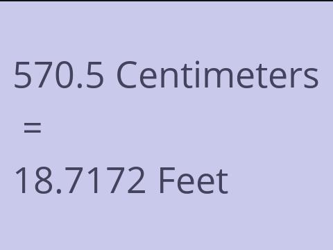 570.5 CM TO FEET