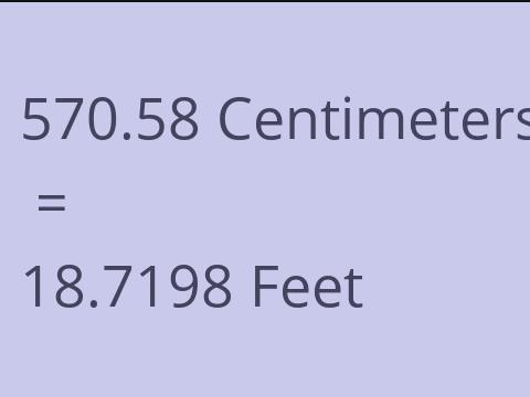 570.58 CM TO FEET