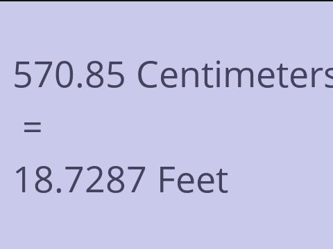 570.85 CM TO FEET