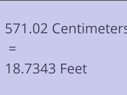 571.02 CM TO FEET