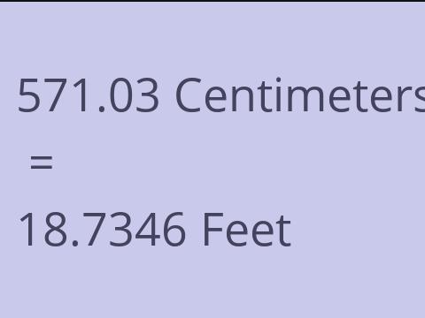 571.03 CM TO FEET