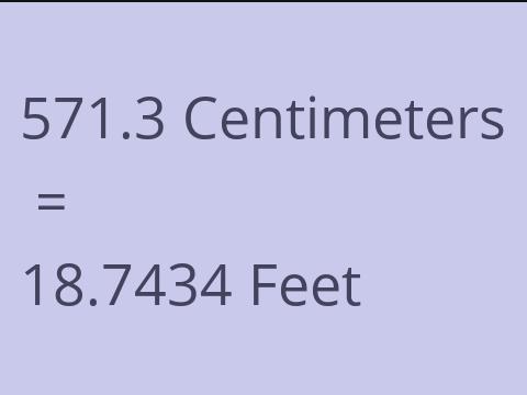 571.3 CM TO FEET