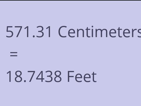 571.31 CM TO FEET