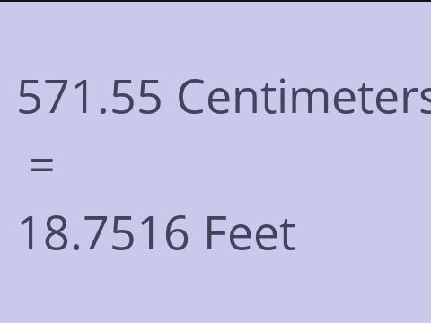 571.55 CM TO FEET