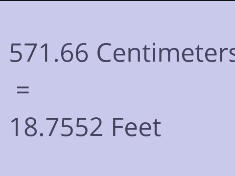 571.66 CM TO FEET