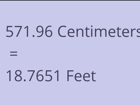 571.96 CM TO FEET