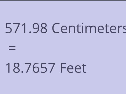 571.98 CM TO FEET