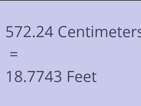 572.24 CM TO FEET