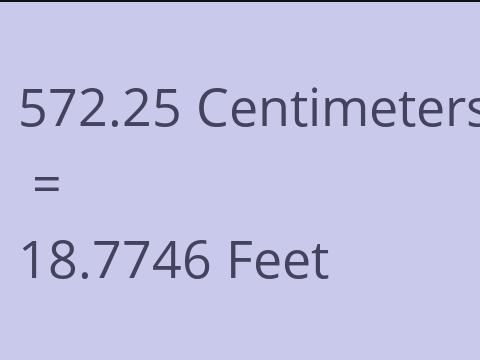 572.25 CM TO FEET