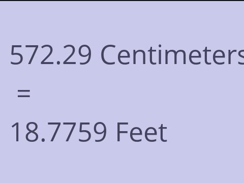 572.29 CM TO FEET