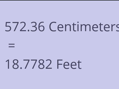 572.36 CM TO FEET