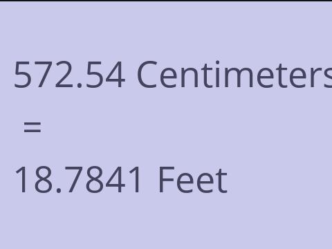 572.54 CM TO FEET