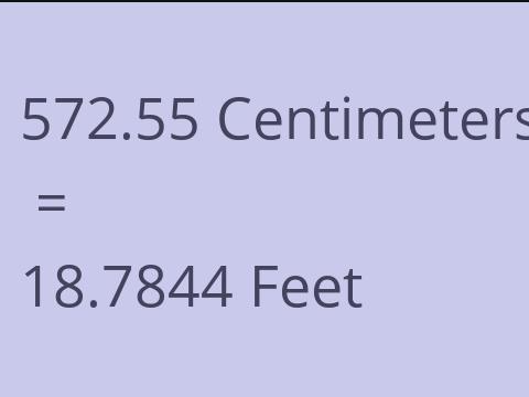 572.55 CM TO FEET