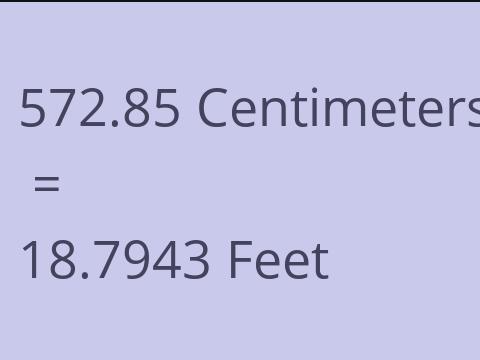 572.85 CM TO FEET