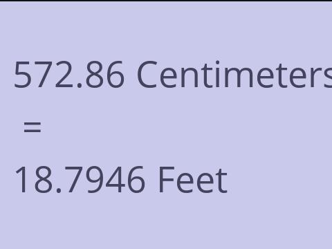 572.86 CM TO FEET