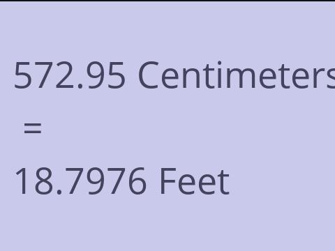 572.95 CM TO FEET