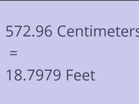 572.96 CM TO FEET