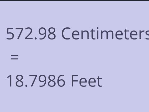 572.98 CM TO FEET