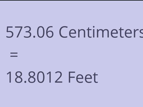 573.06 CM TO FEET