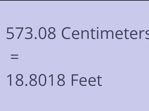 573.08 CM TO FEET