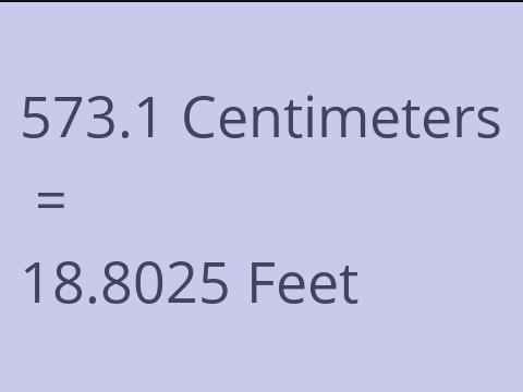 573.1 CM TO FEET