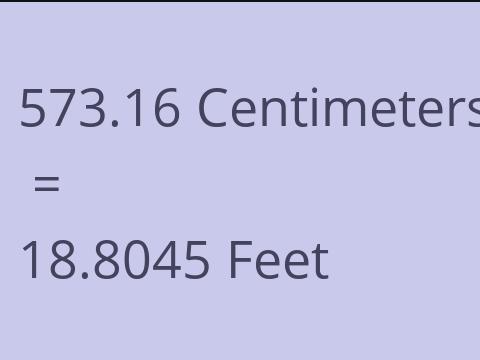 573.16 CM TO FEET