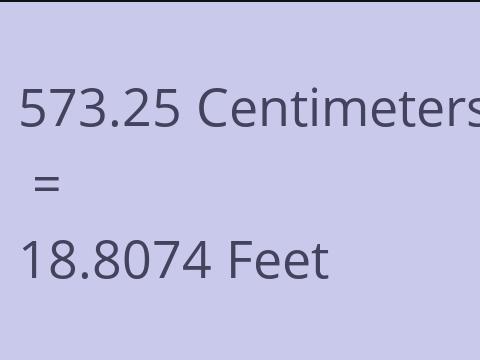 573.25 CM TO FEET