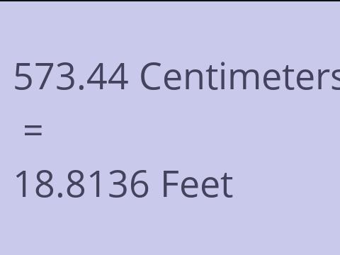 573.44 CM TO FEET