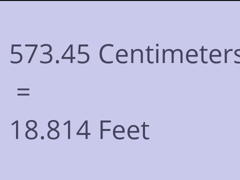 573.45 CM TO FEET