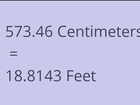 573.46 CM TO FEET