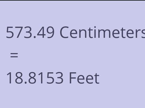 573.49 CM TO FEET