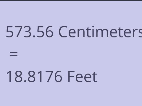 573.56 CM TO FEET