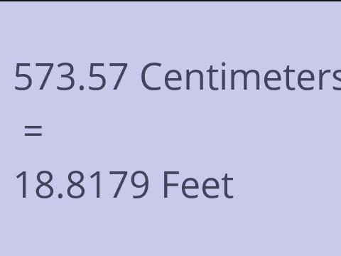 573.57 CM TO FEET