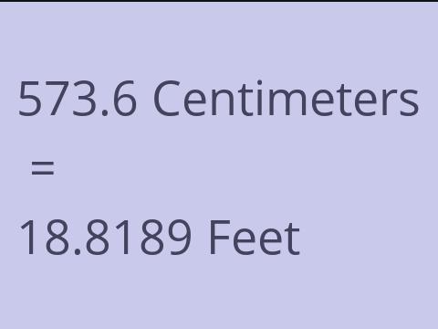 573.6 CM TO FEET