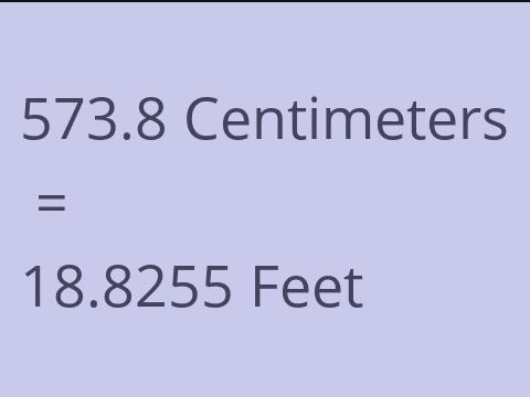 573.8 CM TO FEET