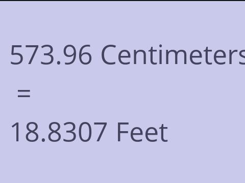 573.96 CM TO FEET