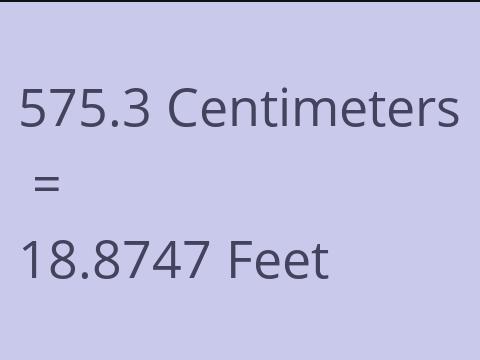 575.3 CM TO FEET