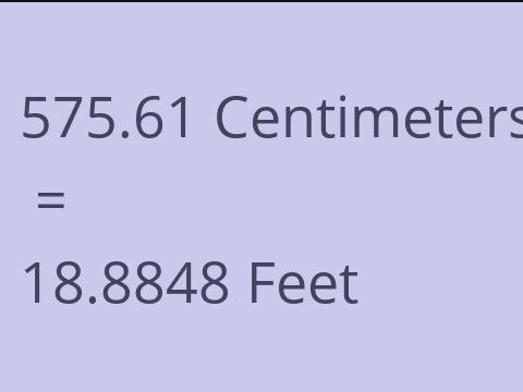 575.61 CM TO FEET